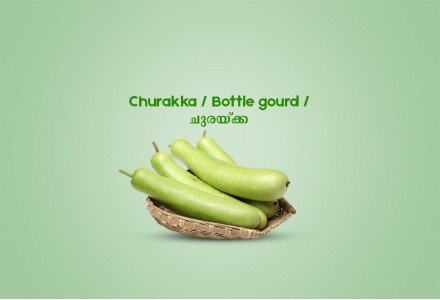 Churakka / Bottle gourd / ചുരയ്ക്ക  -600gm 